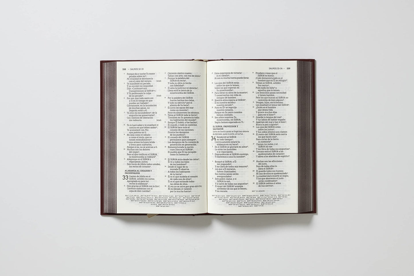Biblia Sola Scriptura Letra Grande NBLA - Tapa Dura