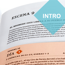 Load image into Gallery viewer, Biblia cronológica RVR60 día por día tapa dura
