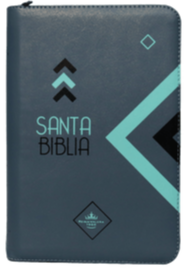Biblia RVR60 Color Gris Letra Grande