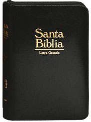 Biblia Acolchada letra grande RV60 | Biblias en Colombia | Sociedades Bíblicas