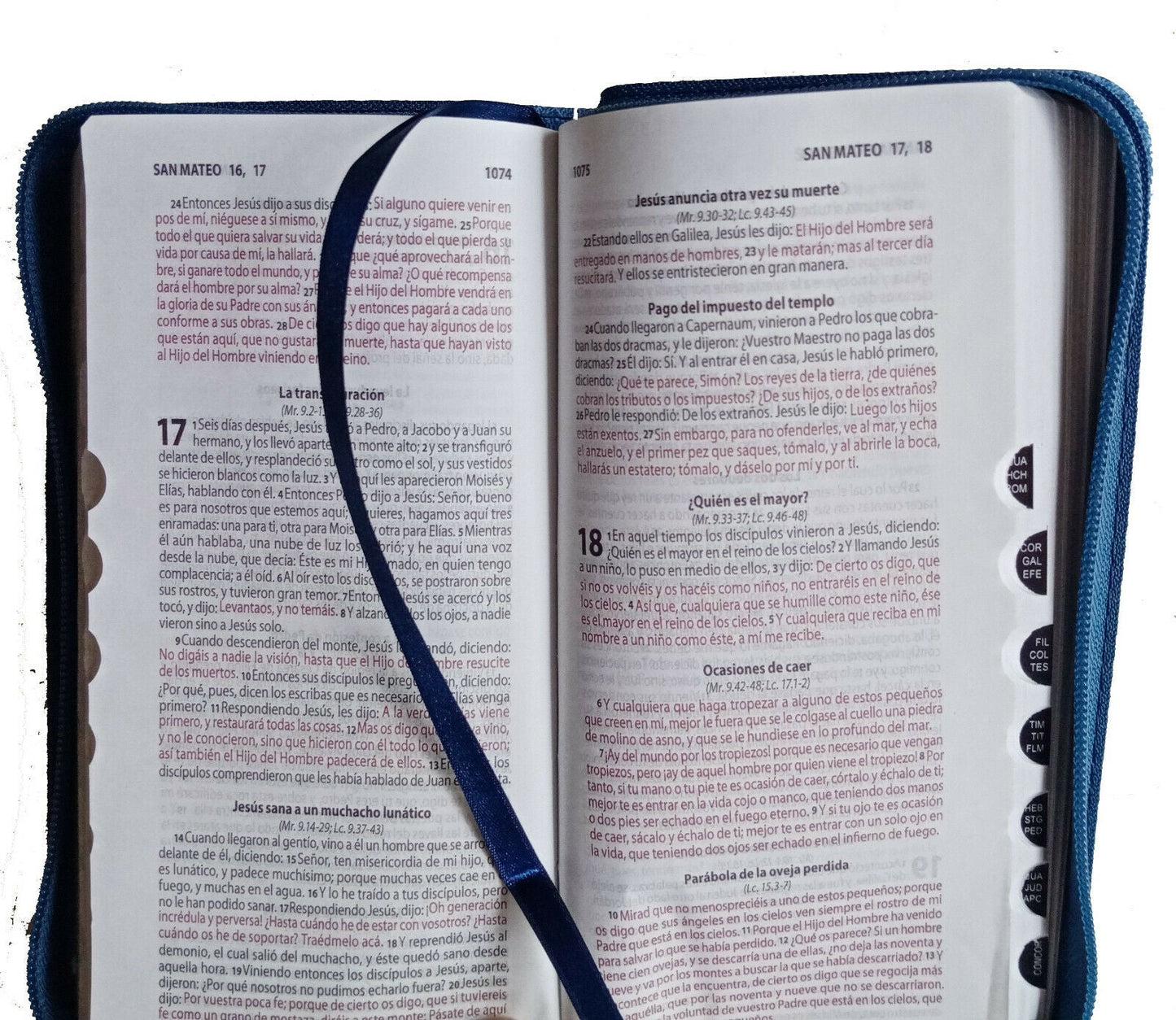 Biblia tipo Chequera azul RVR60